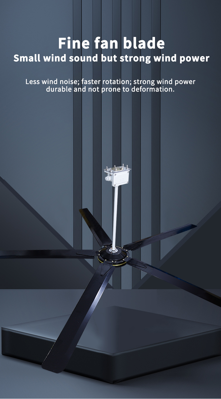 របស់ LewsTroung Wews Lownoise 