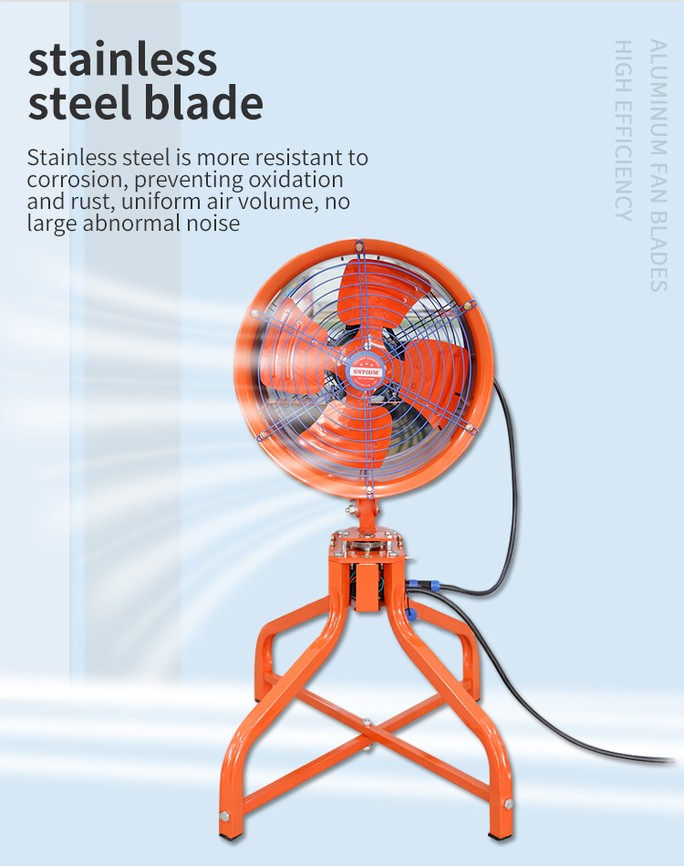 ដែលមិនមានសំលេងរំខានញ័ររណបក្បាលទាប (9) អញ្ចឹង 