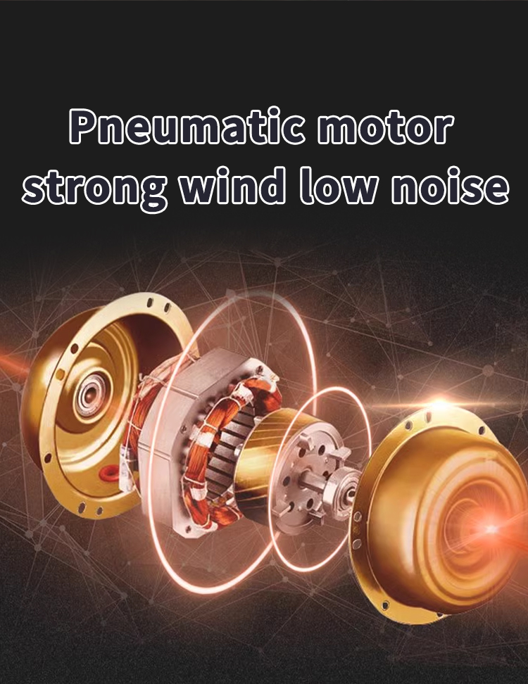 (12) អ្នកគាំទ្រកំរាលព្រះអាទិត្យ 