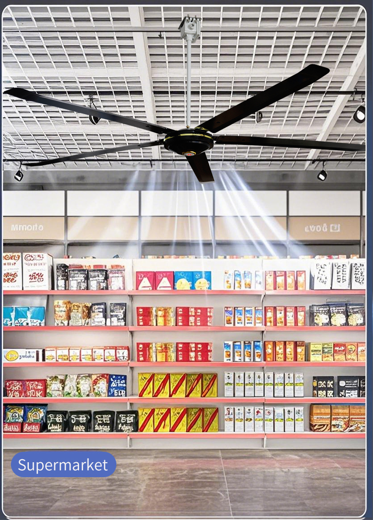 ផសារតមនើប