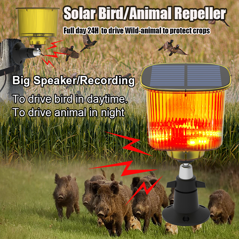 ឧបករណ៍បំលែងថាមពលក្រឡាចត្រង្គ