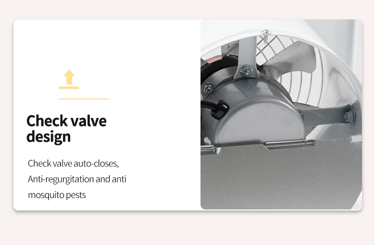 អេហ្វអេហ្វអេហ្វអេហ្វអេ ហ្វអេហ្វអេហ្វ 