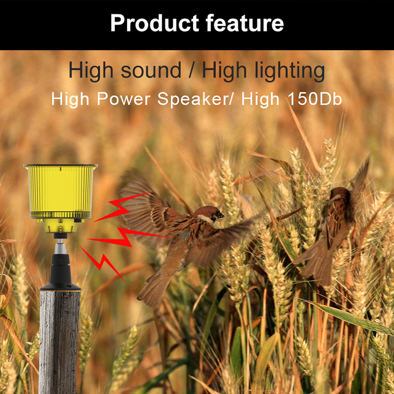 ឧបករណ៍បំលែងថាមពលក្រឡាចត្រង្គ