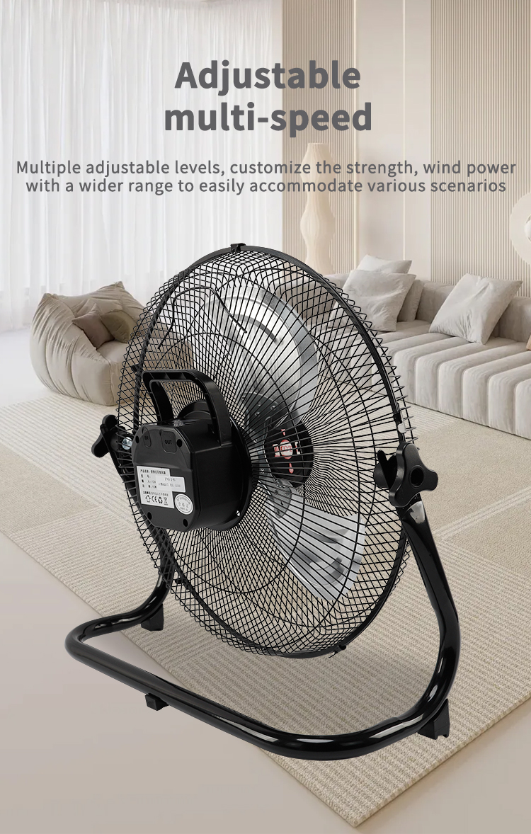 រអិល (2) អ្នកគាំទ្រសូឡា (3) 