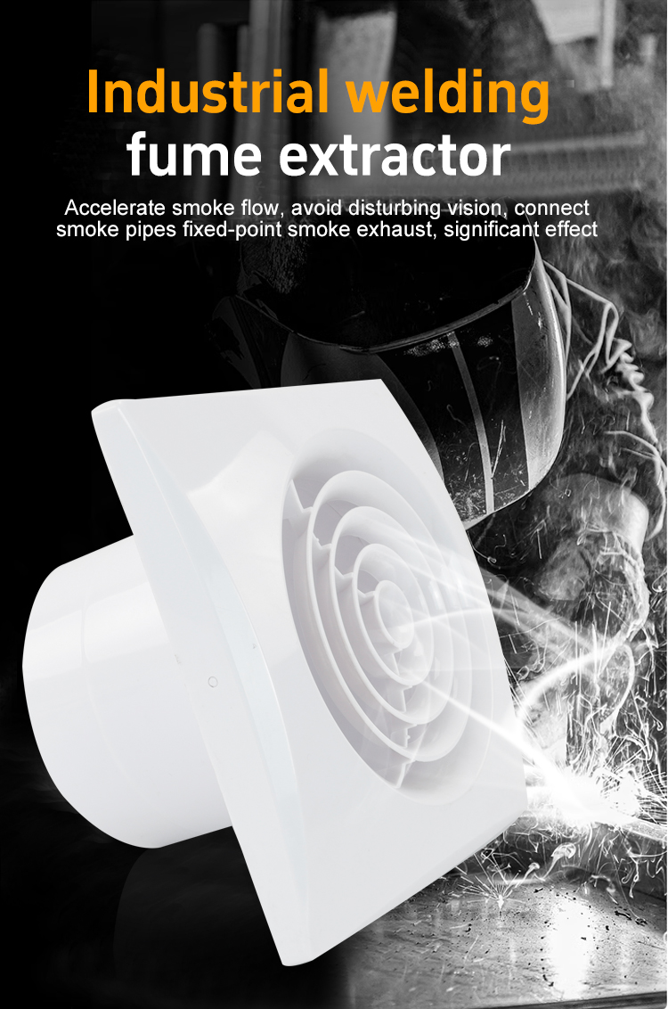 វីនដូវីនដូអេសអេសអេសអេសអេសអេស 