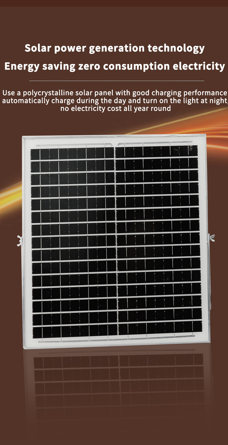 អ្នកគាំទ្រជាន់ព្រិល (3) 